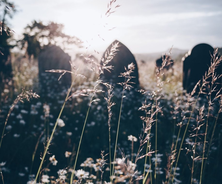 jill-dimond-d53BtUWniBY-unsplash